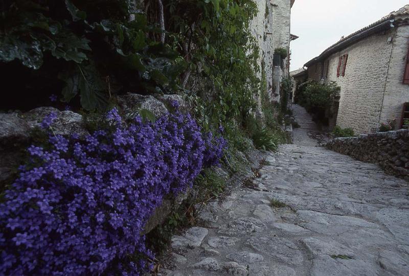France 97 Vaison La Romaine.jpg